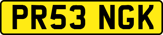 PR53NGK