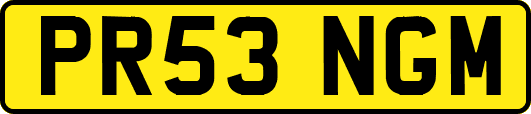 PR53NGM