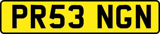 PR53NGN