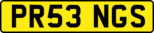 PR53NGS