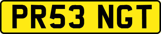 PR53NGT