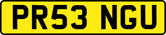 PR53NGU