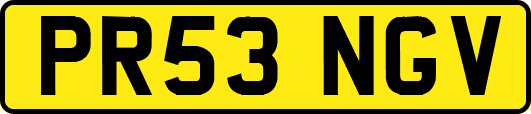 PR53NGV