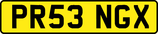PR53NGX