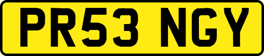 PR53NGY