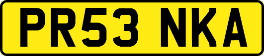 PR53NKA