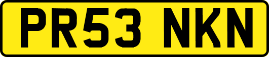 PR53NKN