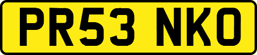 PR53NKO