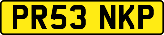PR53NKP