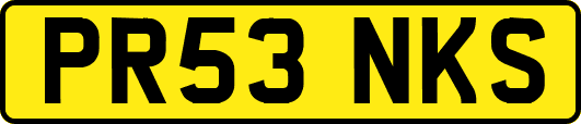 PR53NKS