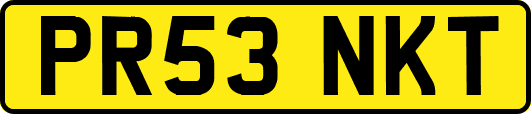 PR53NKT