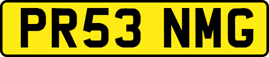 PR53NMG