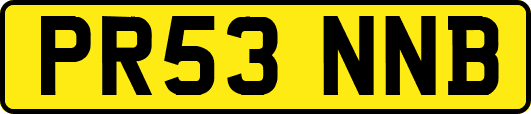 PR53NNB