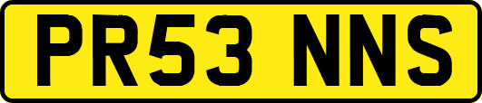 PR53NNS