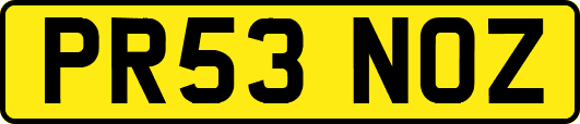 PR53NOZ