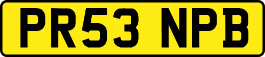 PR53NPB