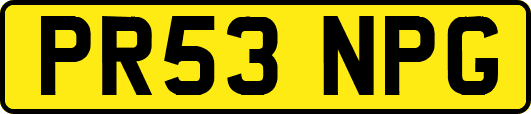 PR53NPG