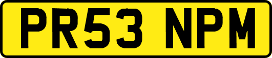 PR53NPM