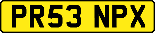PR53NPX