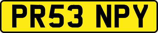 PR53NPY