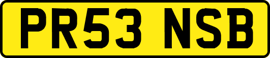 PR53NSB