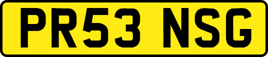 PR53NSG