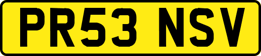 PR53NSV