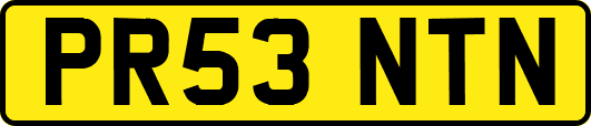 PR53NTN