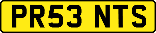 PR53NTS