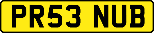 PR53NUB