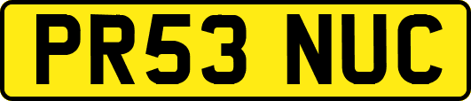 PR53NUC