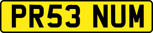 PR53NUM
