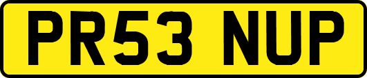 PR53NUP