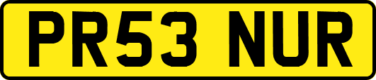 PR53NUR