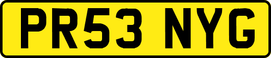 PR53NYG