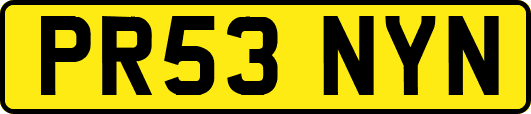 PR53NYN