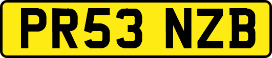 PR53NZB