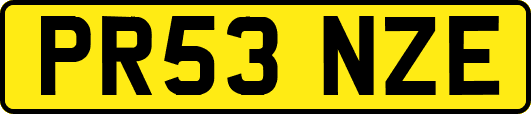 PR53NZE