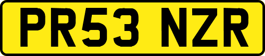 PR53NZR