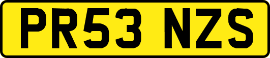 PR53NZS