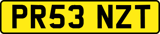 PR53NZT