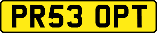 PR53OPT