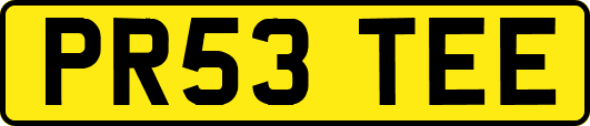 PR53TEE