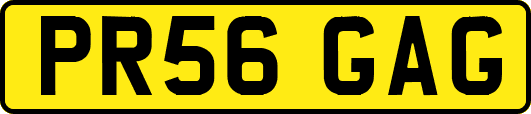 PR56GAG
