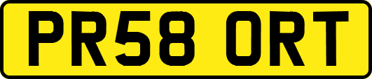 PR58ORT