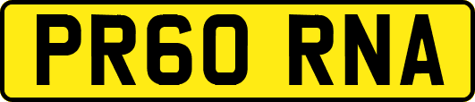 PR60RNA