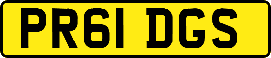 PR61DGS