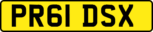 PR61DSX