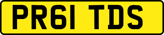 PR61TDS