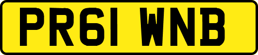 PR61WNB